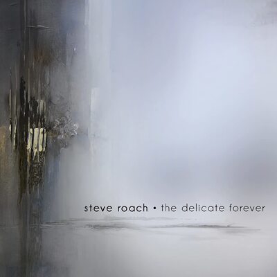 Steve Roach - The Delicate Forever CD Album - Used