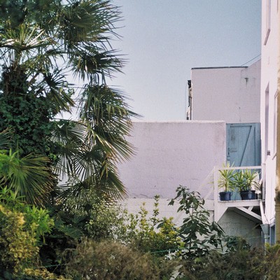 MUS000560435.jpg