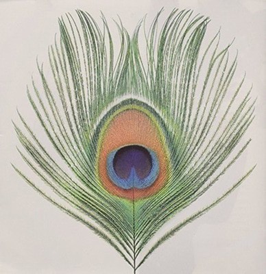 MUS000572505.jpg