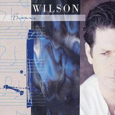 Brian Wilson - Brian Wilson CD Album - Used