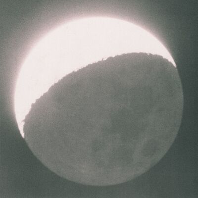 MUS000698300.jpg