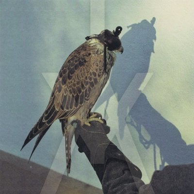 Iceage - You're Nothing CD Album - Used