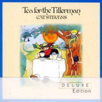 Cat Stevens - Tea for the Tillerman CD Album - Used