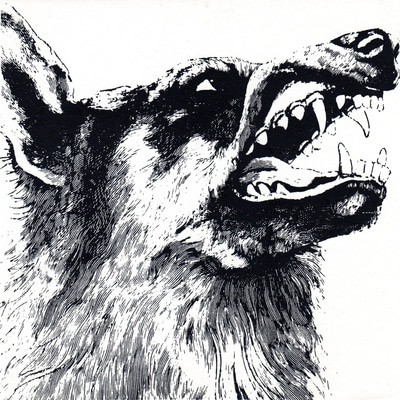 MUS000555733.jpg