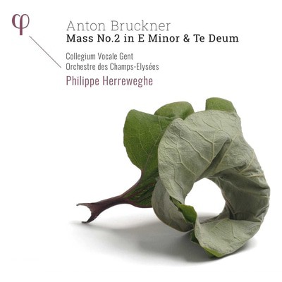 MUS000649445.jpg