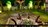 neverwintercollectorspackscreens458221.jpg