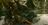 biotopescreens460004.jpg