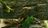 biotopescreens460004.jpg