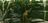 biotopescreens460004.jpg