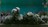 biotopescreens460004.jpg