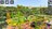 themeparksimulatorscreens462229.jpg