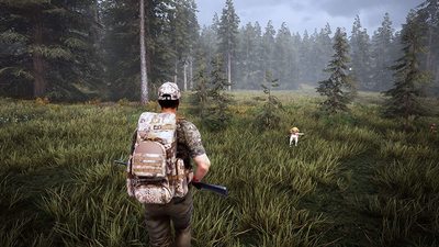 huntingsimulator2460551.jpg