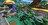 teamsonicr453591.jpg