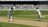 cricket.jpg