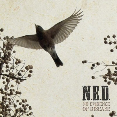 MUS000532985.jpg