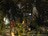 twoworlds227397.jpg
