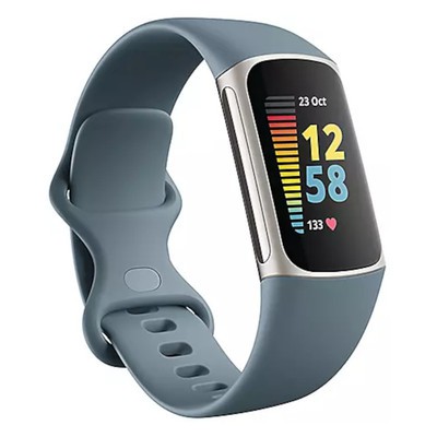 Fitbit Charge 5 Platinum Stainless Steel Steel Blue Sport Band - Good