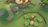 timeonfrogisland475119.jpg