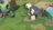 timeonfrogisland475119.jpg
