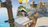 timeonfrogisland475119.jpg