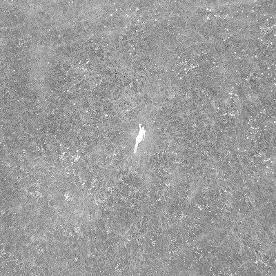 MUS000687808.jpg