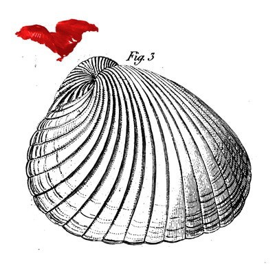 MUS000702969.jpg