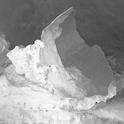 MUS000720386.jpg