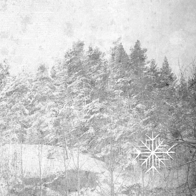 MUS000615729.jpg