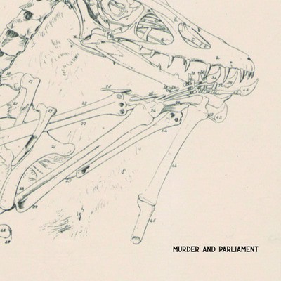 Murder and Parliament - Murder and Parliament CD Album - Used