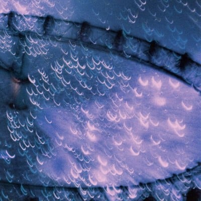 MUS000582620.jpg