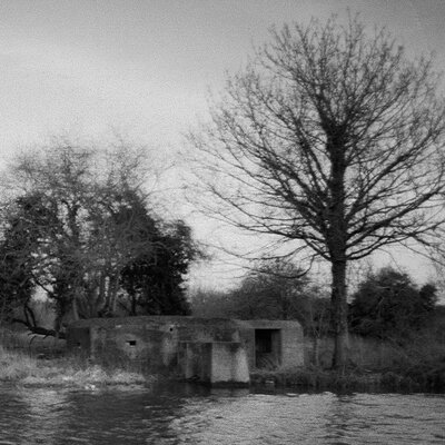 MUS000729650.jpg