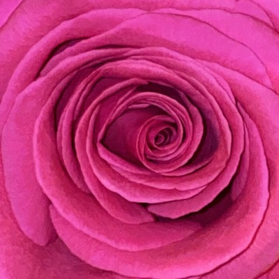 MUS000723733.jpg