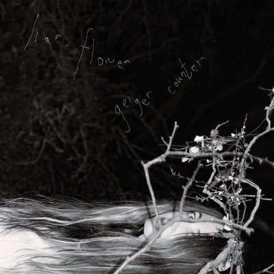 MUS000637943.jpg