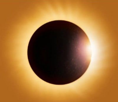 MUS000306277.jpg