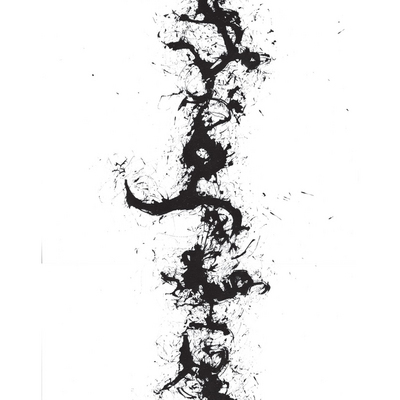 mus000452362.jpg