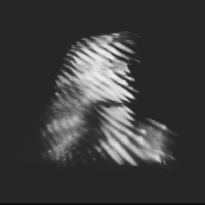 mus000458280.jpg