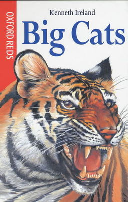 9780199106110.jpg