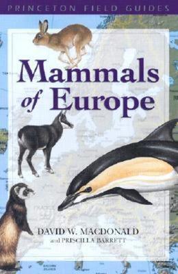 9780691091600.jpg