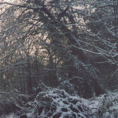 mus000387886.jpg