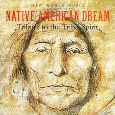 Various Artists - Native American Dream CD Album - Used