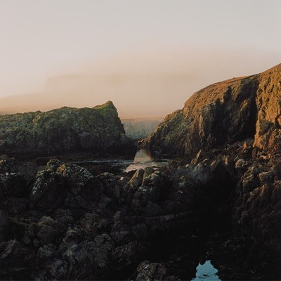 MUS000733550.jpg
