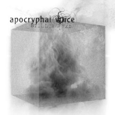 Apocryphal Voice - Stilltrapped CD Album - Used