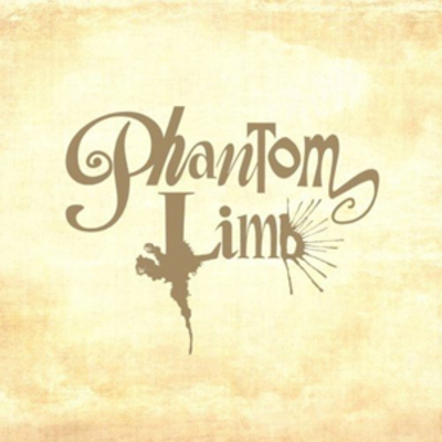 Phantom Limb - Phantom Limb CD Album - Used