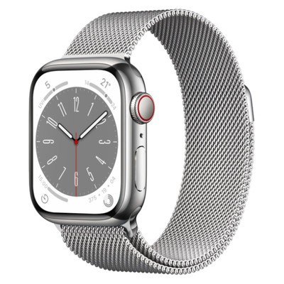 Silver_Milanese_Loop_Main.jpg