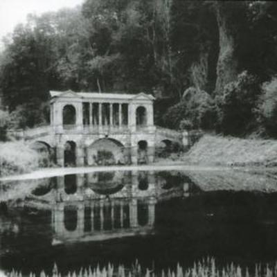 MUS000227550.jpg