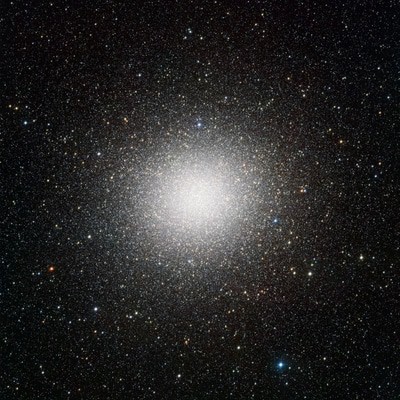 MUS000736982.jpg