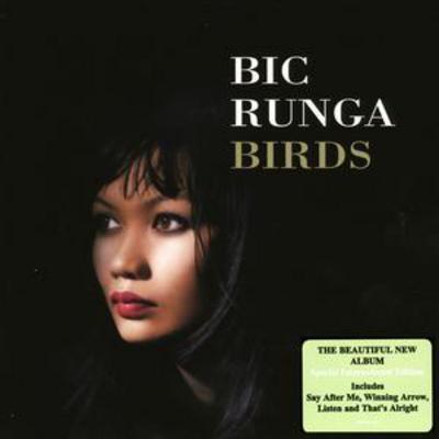 Andre Upston - Birds CD Album - Used