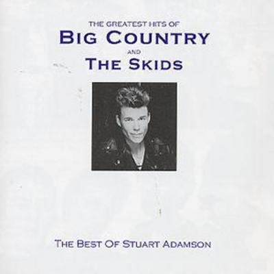 Big Country - The Greatest Hits Of Big Country And The Skids: THE BEST OF STUART ADAMSON CD Album - Used