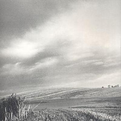 mus000068682.jpg