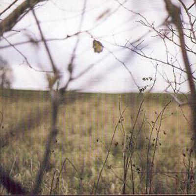 mus000024699.jpg